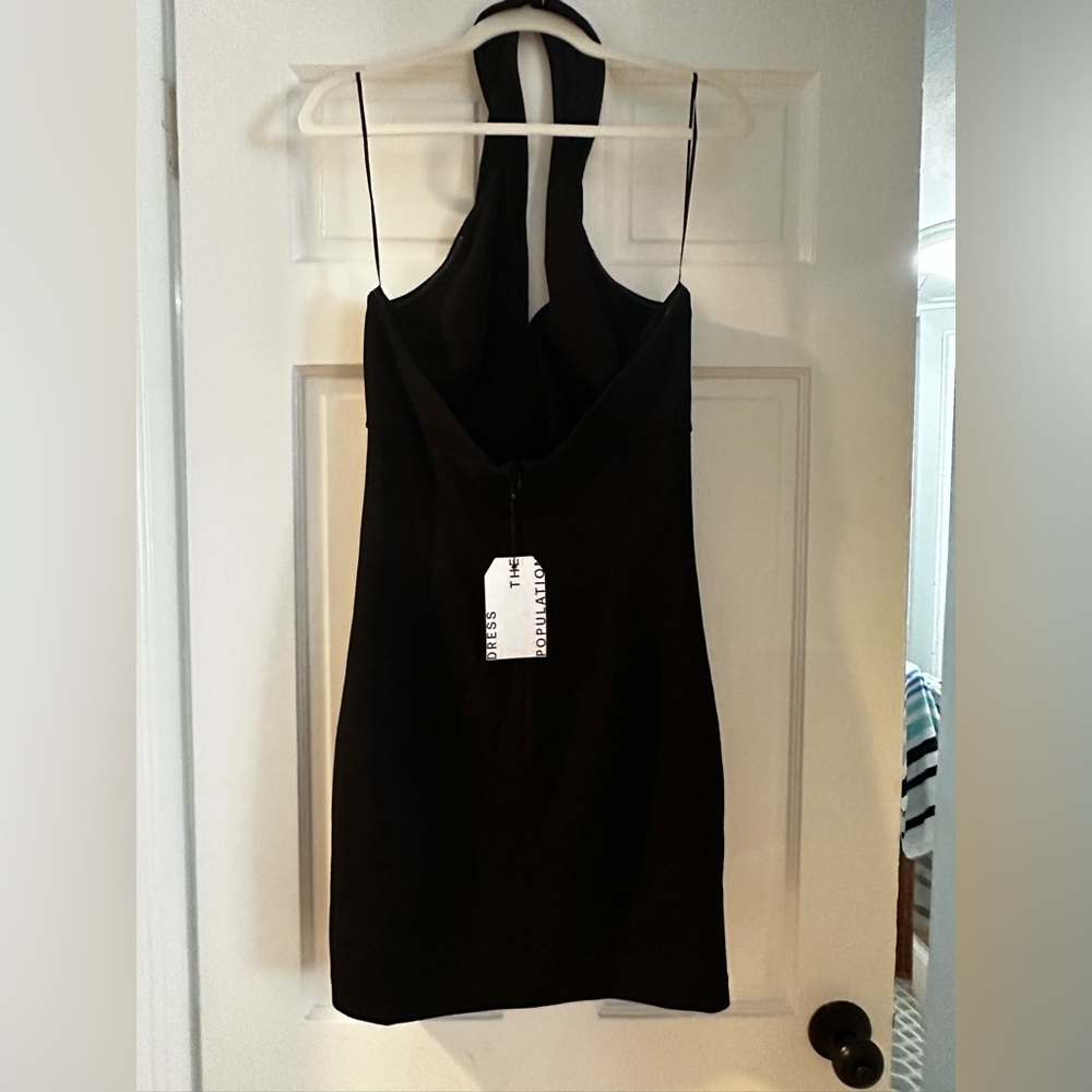 Dress the Population Never Been Worn Dress